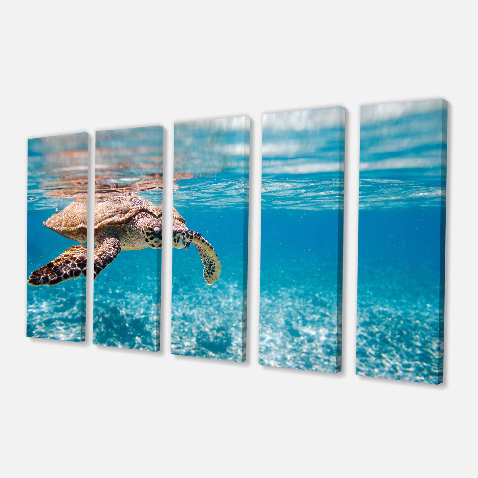 Designart - Large Hawksbill Sea Turtle
